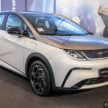 比亚迪海豚突破50万产量, 连续19月成中国同级销量冠军
