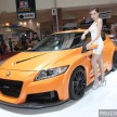 GALLERY: Meet the luscious local ladies of KLIMS13