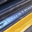 DRIVEN: 2015 Ford Mustang 2.3 EcoBoost and 5.0 GT