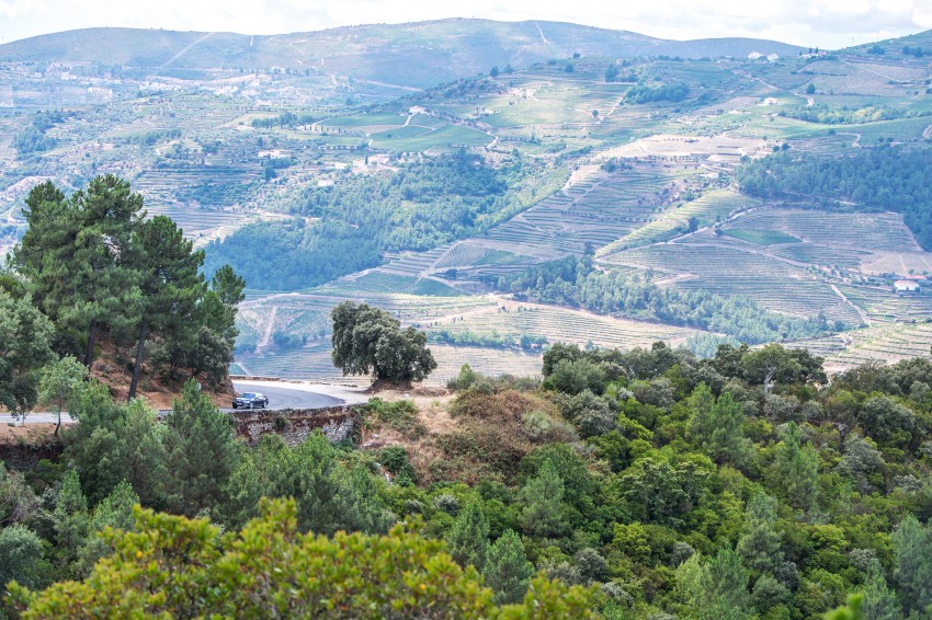 MEGA GALLERY: G11 BMW 7 Series in detail 372510