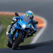 2016 Suzuki GSX-R 1000 L7, with bigger, badder balls