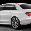 V213 Mercedes-Benz E-Class L revealed for China