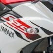 REVIEW: 2015 Yamaha YZF-R25 – fun with the baby ‘R’