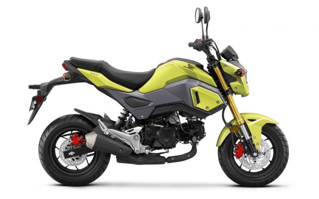 Honda Grom 2017 3