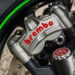 REVIEW: 2016 Kawasaki Ninja ZX-10R – road or race?