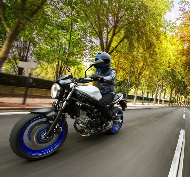 sv650al7_action_12