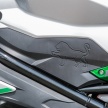 REVIEW: 2017 Benelli 302R – sports on a shoestring