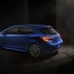 GALLERY: 2019 Toyota Corolla Hatchback for the US