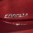 GALLERY: 2019 Toyota Corolla detailed for Europe – three body styles; four powertrains, including hybrids