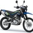 Kawasaki KLX 230 2025 – pengedar mula ambil tempahan, versi enduro dan supermoto, RM23k?