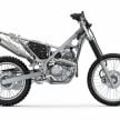 Kawasaki KLX 230 2025 – pengedar mula ambil tempahan, versi enduro dan supermoto, RM23k?