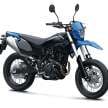 Kawasaki KLX 230 2025 – pengedar mula ambil tempahan, versi enduro dan supermoto, RM23k?