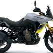 2022 EICMA: Suzuki V-Strom 800DE launched