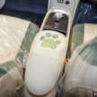 Ora Good Cat EV now available in Pistachio Green for Malaysia – specific two-tone interior, only for 500 Ultra