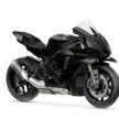 2025 Yamaha R1 Race, R1 GYTR for  track use only