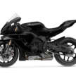 2025 Yamaha R1 Race, R1 GYTR for  track use only