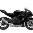 2025 Yamaha R1 Race, R1 GYTR for  track use only
