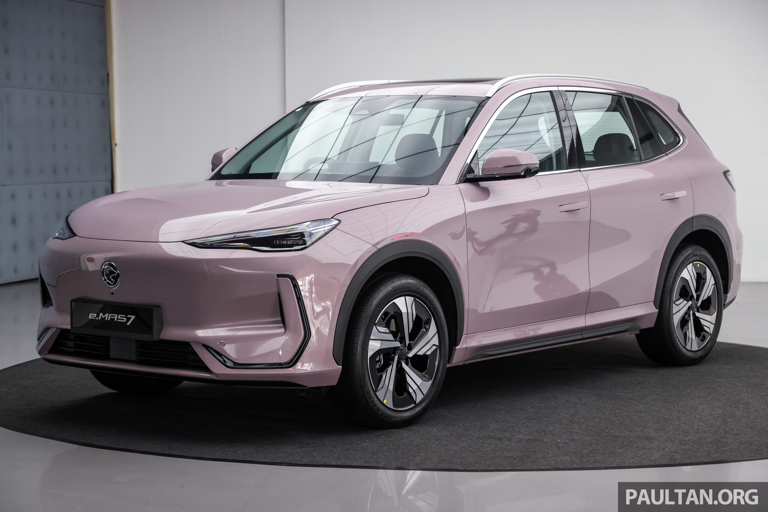 50% of new government cars are to be EVs by 2025