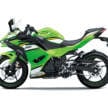 2025 Modenas Kawasaki Ninja 500 ABS and Ninja 500 ABS SE for Malaysia, priced from RM28,100