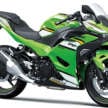 2025 Modenas Kawasaki Ninja 500 ABS and Ninja 500 ABS SE for Malaysia, priced from RM28,100
