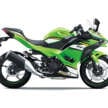 2025 Modenas Kawasaki Ninja 500 ABS and Ninja 500 ABS SE for Malaysia, priced from RM28,100