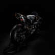 BMW Motorrad Concept RR presented at the Concorso d’Eleganza Villa d’Este show in France
