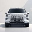 Zeekr 9X to make full debut in China on July 9 – on sale in Q3; brand’s new flagship and first hybrid SUV