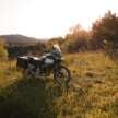 BMW Motorrad updates colours and options for 2025