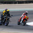 Rainey rides Y-AMT equipped Yamaha XSR900 GP