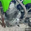 Kawasaki KLX 230 S, 230 SM dilancar di Malaysia – enjin 233 cc suntikan bahan api 18 PS, dari RM23k