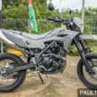 Kawasaki KLX 230 S, 230 SM dilancar di Malaysia – enjin 233 cc suntikan bahan api 18 PS, dari RM23k