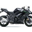 2026 Kawasaki Ninja 1100SX in Malaysia, RM71,400