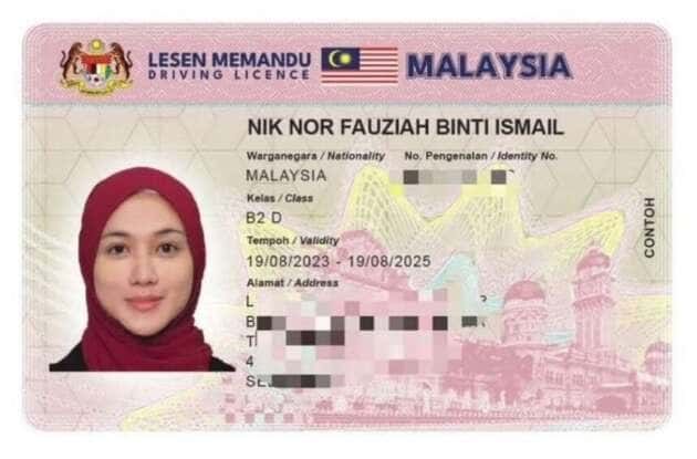 Malaysian driver fined for not having physical licence at road block in Thailand