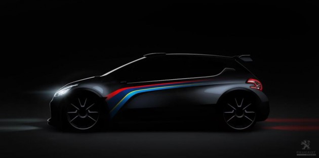 402219_528876097138443_2136206623_n Peugeot 208 Type R5 rally car to debut in Paris
