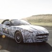 Jaguar F-type confirmed, full details later in the year