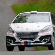 Peugeot 208 R2 Rally Car – a race-ready car you can buy