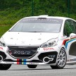 Peugeot 208 R2 Rally Car – a race-ready car you can buy