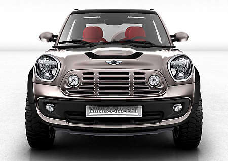 mini beachcomber 3