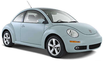 clear-stock-beetle