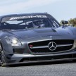 Mercedes-Benz SLS AMG GT3 45th Anniversary: only 5