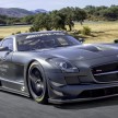 Mercedes-Benz SLS AMG GT3 45th Anniversary: only 5
